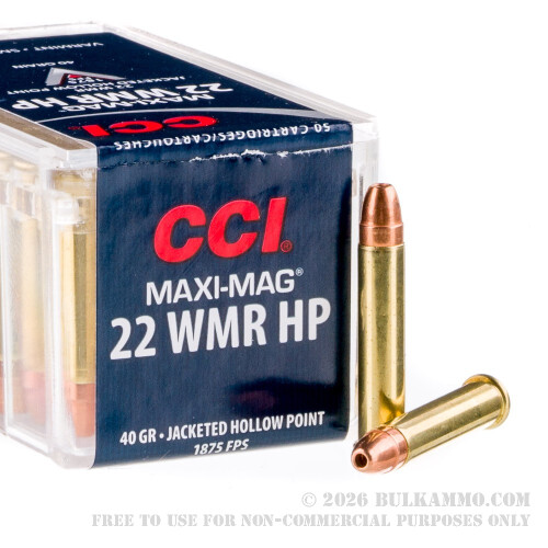 22lr ammo
