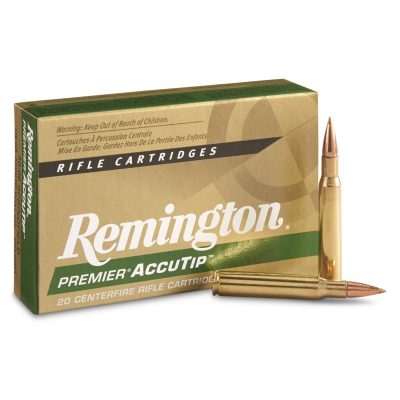 Remington AccuTip 30-06 Ammo 150 Grain AT-BT Polymer Tip Hunting Ammunition