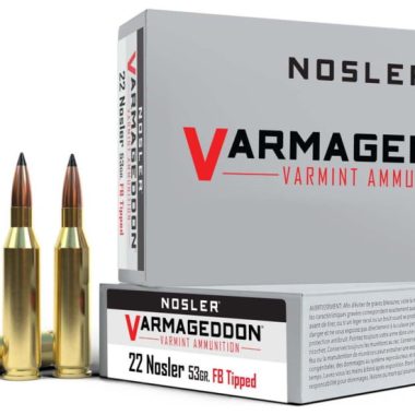 Nosler .22 Nosler Flat Base Tipped 53 grain Brass Cased 500 rounds