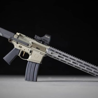 Q Honey Badger 300 BLK SBR