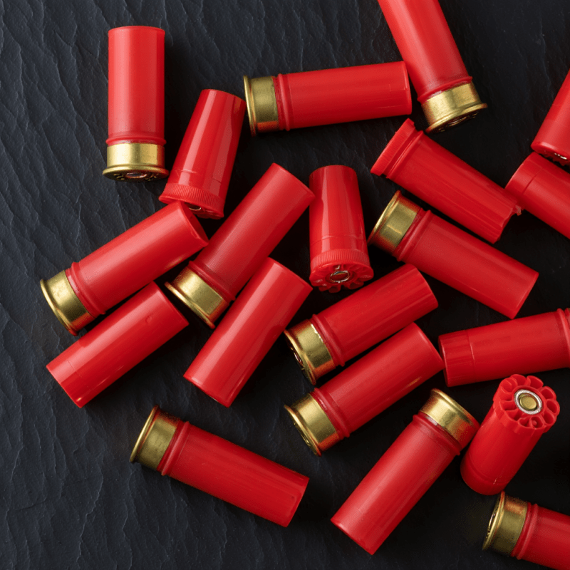 12 Gauge Shotgun Shells